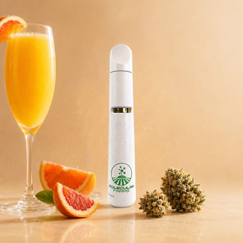 Mimosa - Disposable - 1g