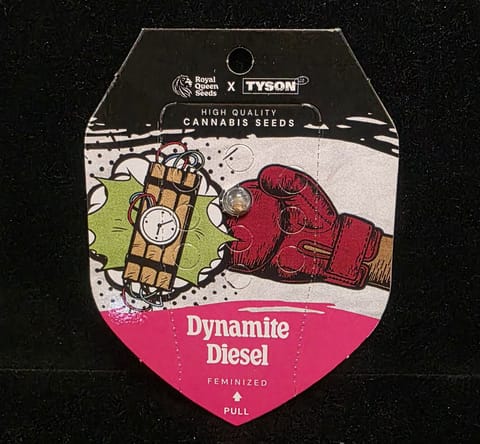 Feminized Seeds - Dynamite Diesel FEM (Royal Queen X Tyson 2.0)