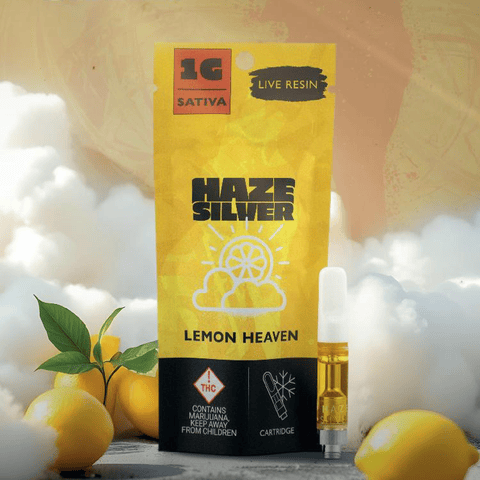 Haze Silver | Lemon Heaven |Live Resin|S|1G