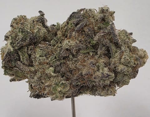 MAC 1 FLOWER