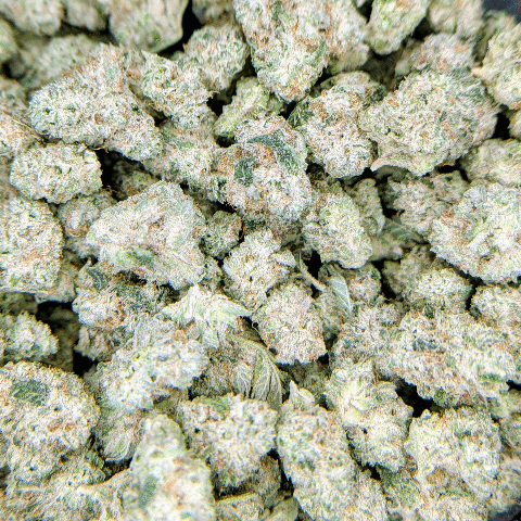 Queen of Diamonds - Deli Flower - $4/g
