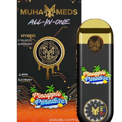 Pineapple Paradise 2g Disposable | Muha Meds