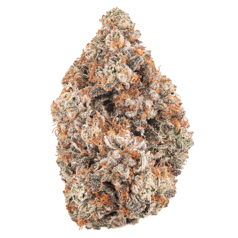 Georgia Z - 3.5G