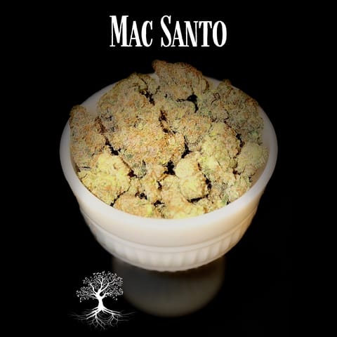 Buds - Mac Santo