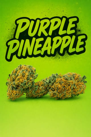 Tier 3 - Purple Pineapple - - 1/2oz