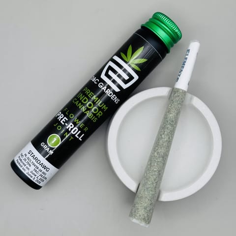 StarDawg Preroll
