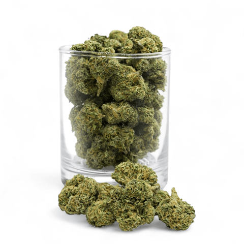 Cola - Indica - Silver