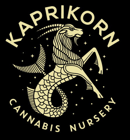 Kaprikorn | Cadillac Rainbows & Permanent Lee Hi Multistrain | 10pk