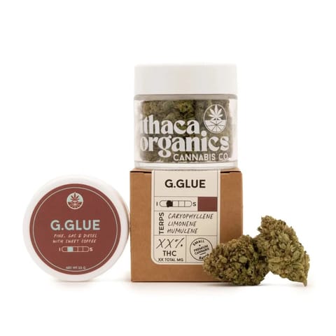 Gorilla Glue - 3.5g - Flower - Greenhouse