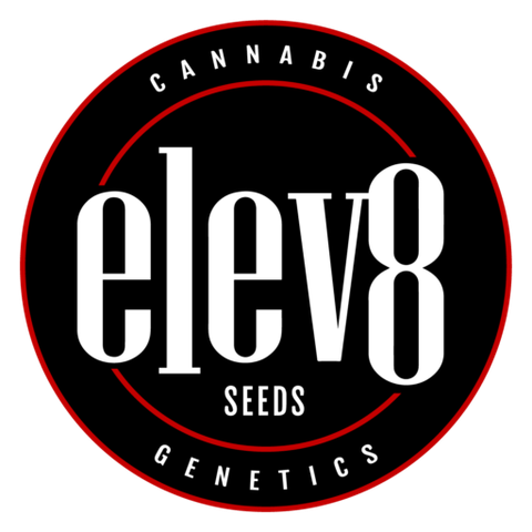 Elev8 Photoperiod Seeds 6 pk - Variety Pack 3