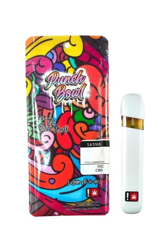 Raspberry Crave 1G Disposable (Punch Bowl)