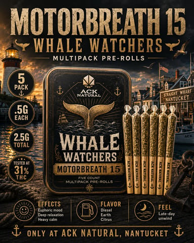 Motorbreath S26 - Whale Watchers 2.5G