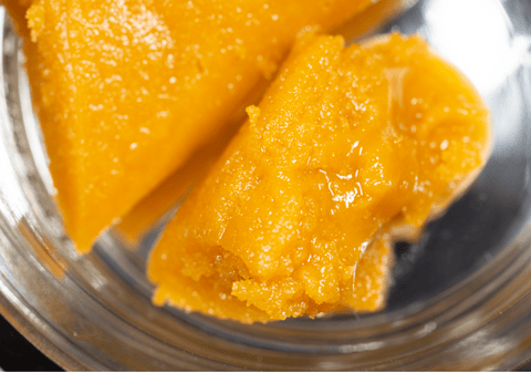 CSC - Animal Mints - 1G Wax
