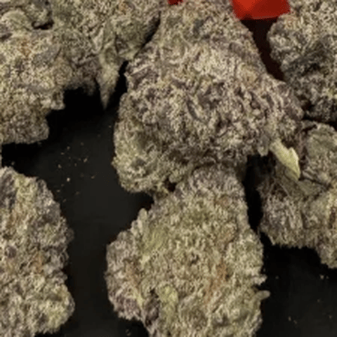 PENROSE - PEYOTE COOKIES - BULK SILVER TIER BUD