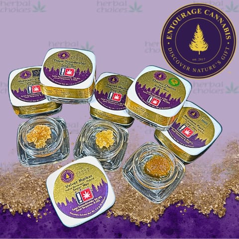 Entourage - Jack Herer Silver Linings - 1g BHO