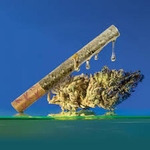 Mac 1 - Grasshopper Farms - Resin Infused - Multi-pack - 5G**