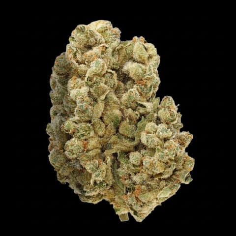 Garlic Trap | Premium Flower - | 7g