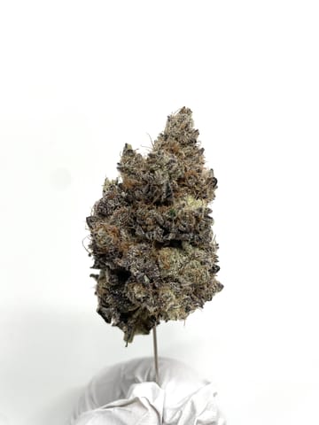 BAM Alaska | Hash Burger | Flower | 1g