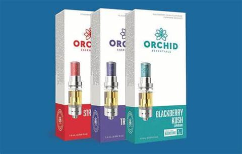Black Dog 1G Cartridge GOLD (Orchid)