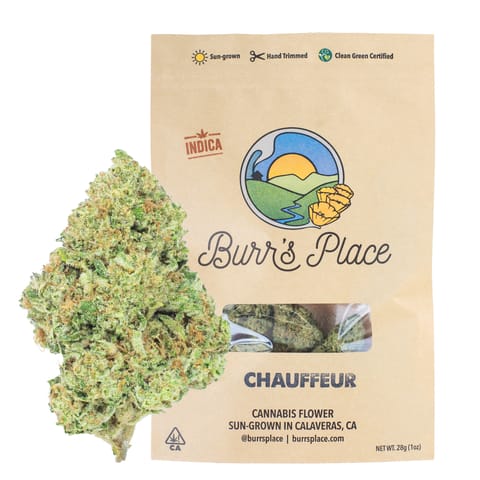 Burr's Place | Chauffeur (I) | 28g Sungrown Flower