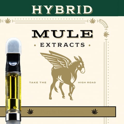 Mule M-Tec Cartridge | Turquoise Jeep 1g