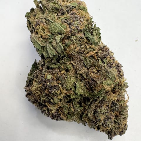 Moon Fruit (Pistil Pioneers)