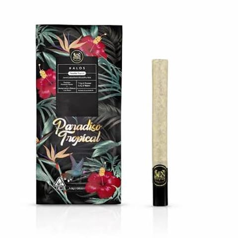 Maven Genetics | Paradiso Tropical | Halo | Indica | 1.9g