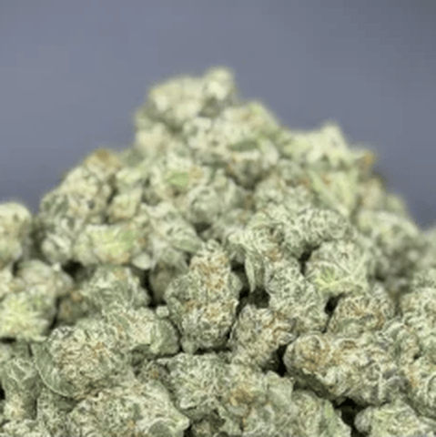 POT ZERO - GELATO - BULK COPPER TIER BUD