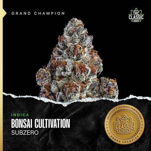 Subzero (I/H) By Bonsai