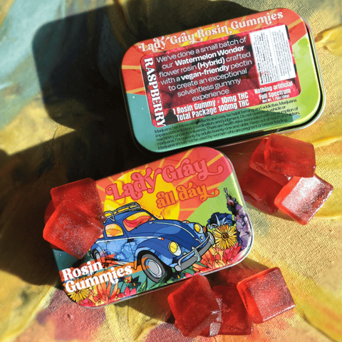 Lady Gray | Watermelon Wonder Rosin | Gummies | 100mg | 10pk