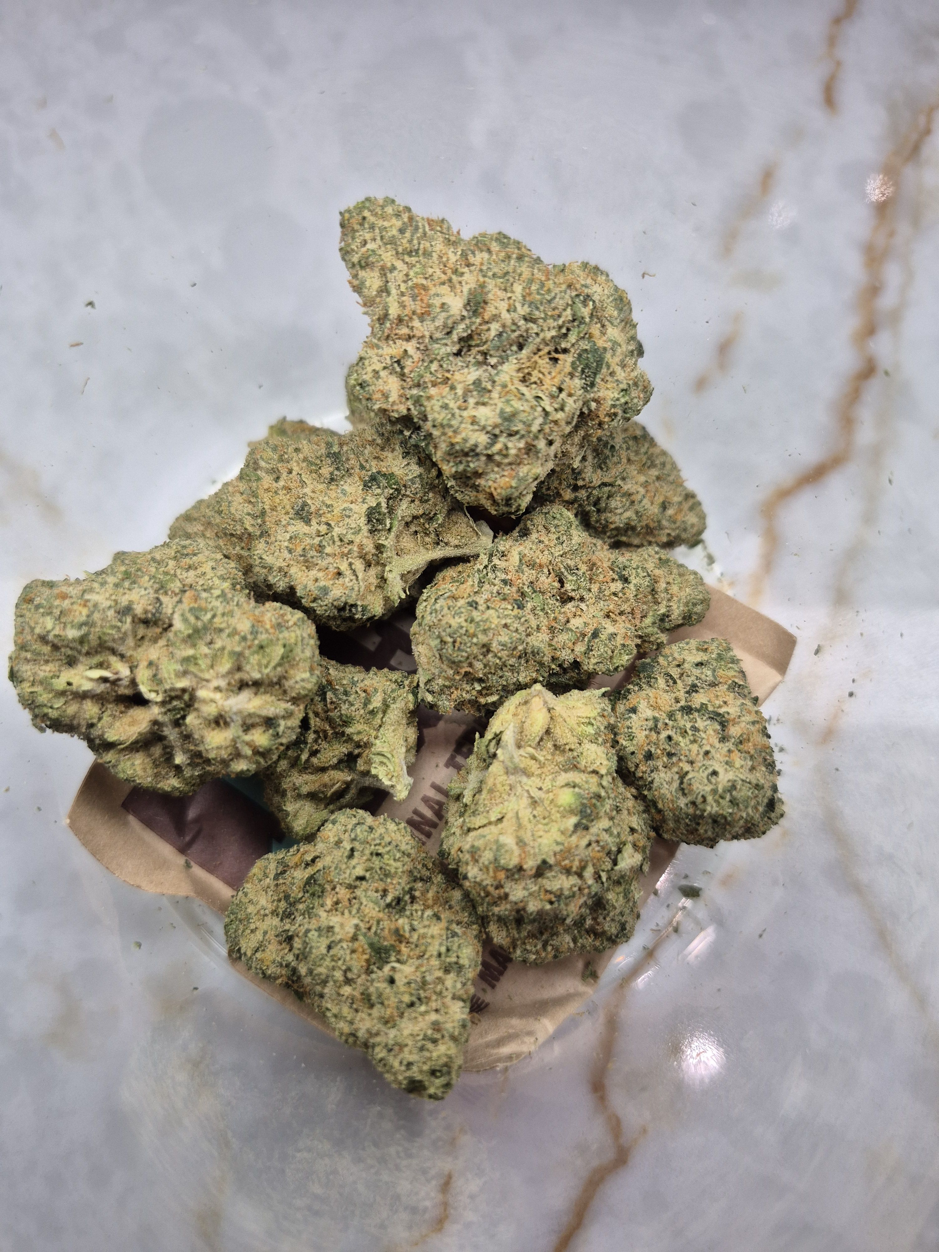 Phantom Dawg
