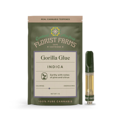 Gorilla Glue | 510
