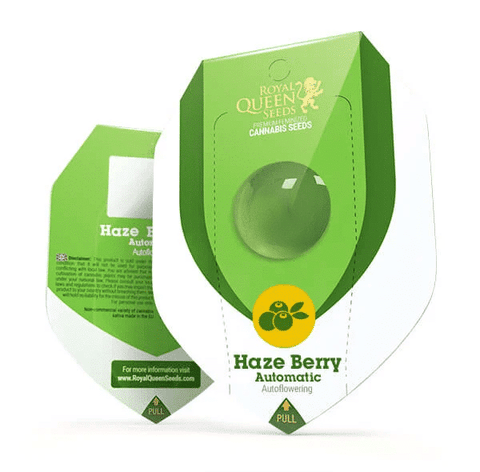 Royal Queen Autoflower seeds 3 pk - Haze Berry Auto