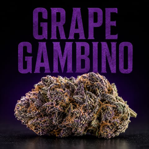 Grape Bambino - Flower - 3.5g