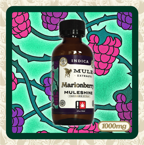 Mule Muleshine | Marionberry 1000mg