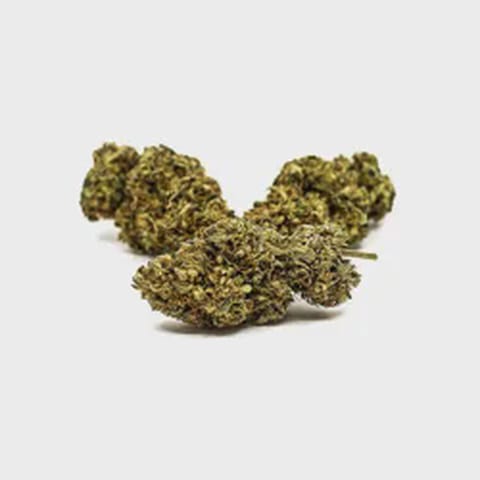 Maggie's Essentials | Bubble Gum | I | 14g
