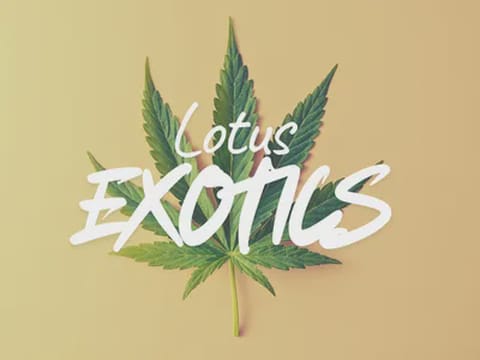 Lotus Exotics - Insane Pound Cake - Greenhouse