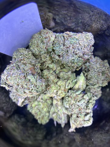 Glue 31 - PreRoll 1g