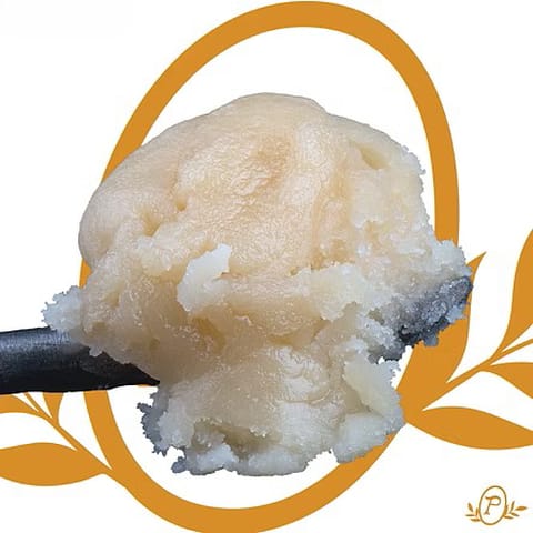Sherbtang Live Rosin | 1g