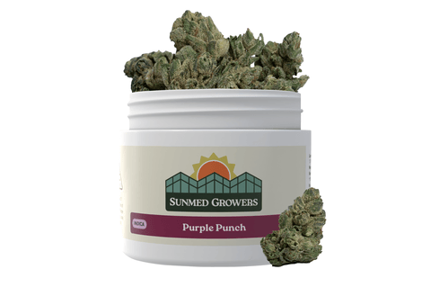 SunMed | 7g | - Purple Punch | 7g Plastic Container