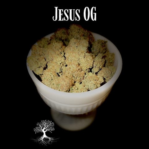 Buds - Jesus OG