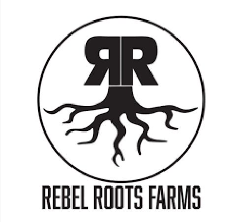 Multistrain 1:1 THC/CBD RSO 1G  (Rebel Roots)