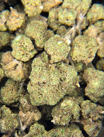 The Farm Marcellus | Gelato 41 x Soap| (Gelato x Zoap)
