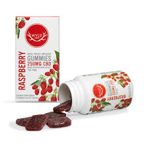 Raspberry 250MG CBD Gummy (WYLD)