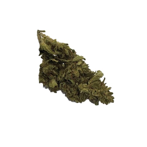 Pineapple (Williams Wonder)