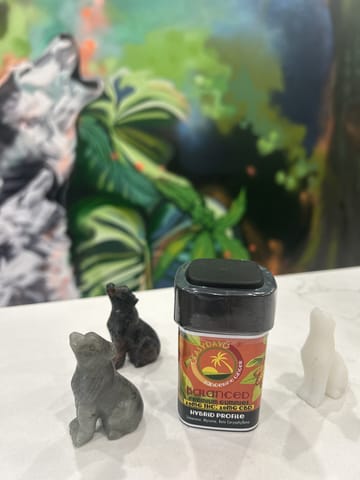 Easyday | Tangerine Ginger Gummies | Edible | 10mg THC- 10mg CBD (10-Pack)