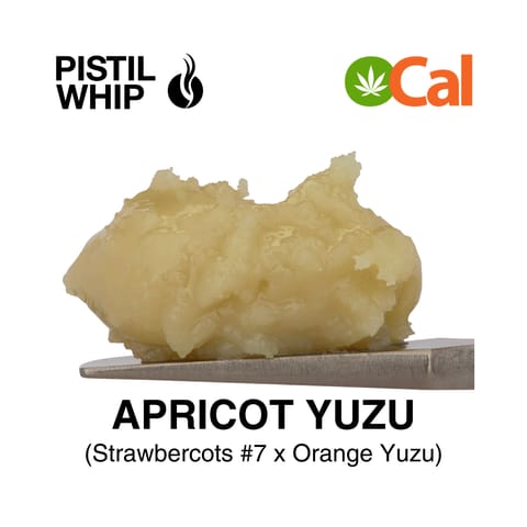 PISTIL WHIP - ROSIN BADDER - APRICOT YUZU - 1G