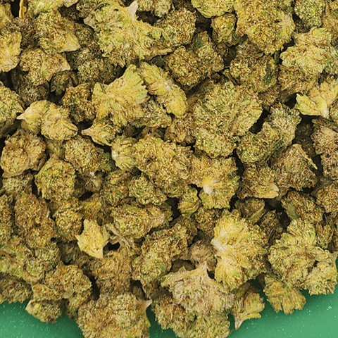 GreenCo | Trop Cherry | Sativa-Hybrid | 28g | Flower