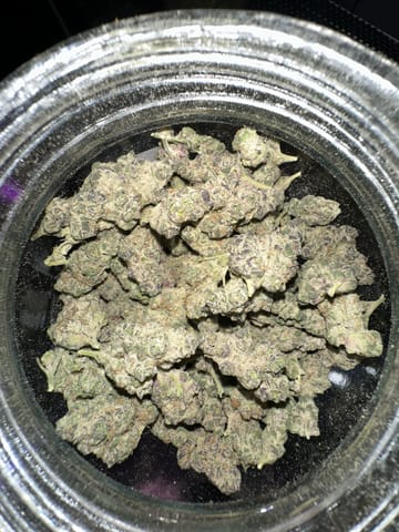 Bus Down Buds
