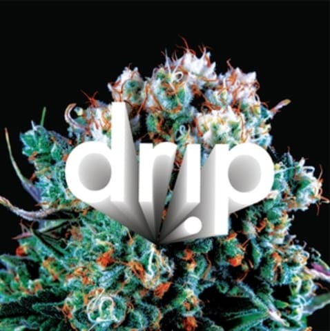 Drip Cherry Cookies Cartridge 1g
